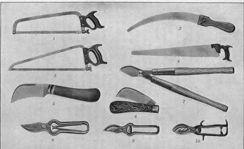 Fig. 18. Pruning tools 1, 2, 3, 4, pruning saws; 5, 6, pruning knives; 7, 8, 9, 10, pruning shears