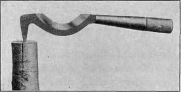Fig. 30. The second position of the grafting chisel in cleft grafting