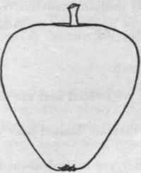 Fig. 45. Conical