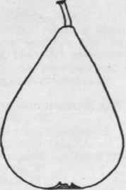 Fig. 52. Acute