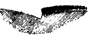 A common form of edge for walk or drive.