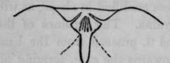 F g. 3.
