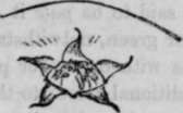 Fig. 13.