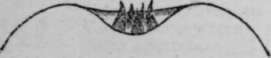 Fig. 14.
