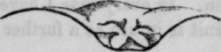 Fig. 15.