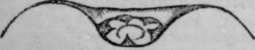 Fig. 16.