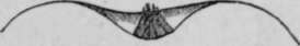 Fig. 17.