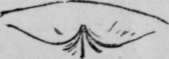 Fig. 18.
