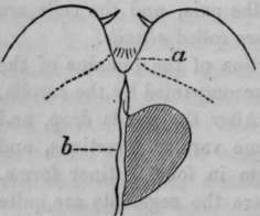 Fig. 9.