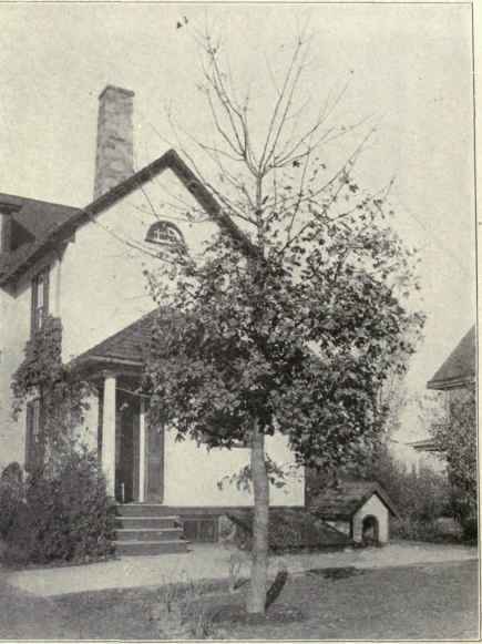 Fig. B