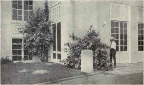 Plate LXIII