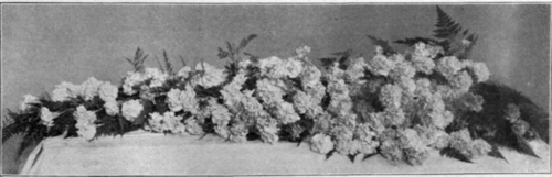 A Funeral Bunch of Carnations.