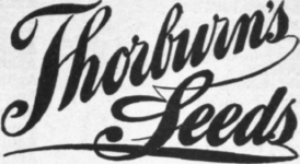 Advertisement 272