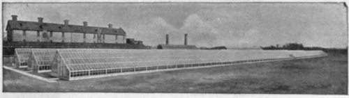 Advertisement 280