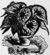 Anything a Florist or Grower Needs