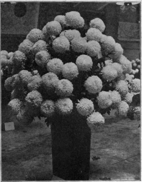 Exhibition Vase of 100 Timothy Eaton.