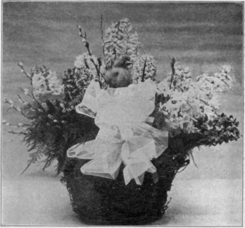 Hyacinths and Asparagus in Twig Basket.