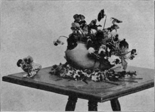 Pansies.
