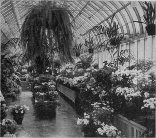 Show House of a Chicago Retailer Photographed Just Before Easter.