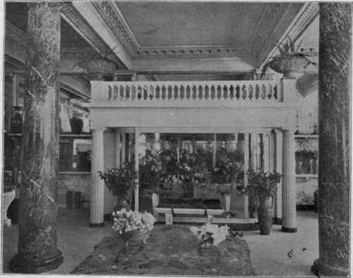 The Cut Flower Display Case in an Up To Date Store.