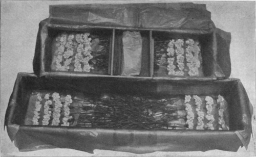 The Lower Box Shows the First Layer of Blooms. The Upper Box is Filled and Iced, Ready for Closing Up.