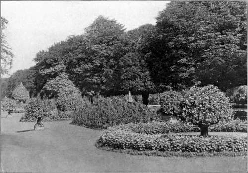 Bedding Plants. To face page 160