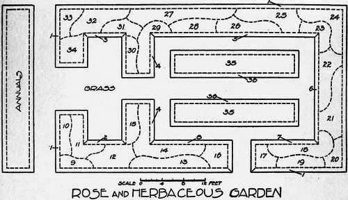 Planting List For Rose And Herbaceous Garden 61