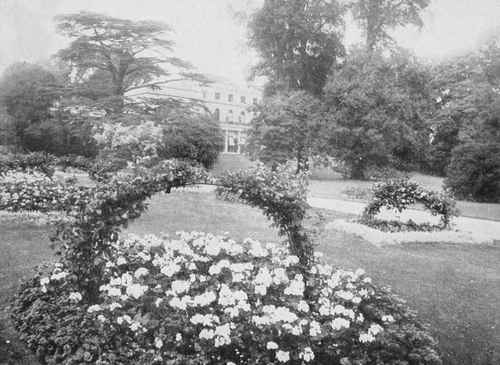The basket garden at Messrs. de Rothschild's Gunnersbury Park.