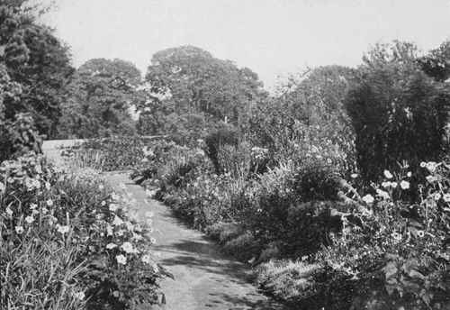 A flower bordered path at Coombe Lewes.