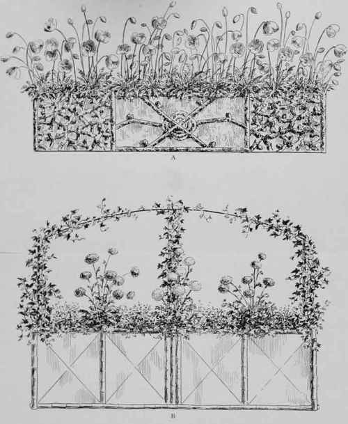 Fresh Ideas For Window Boxes.