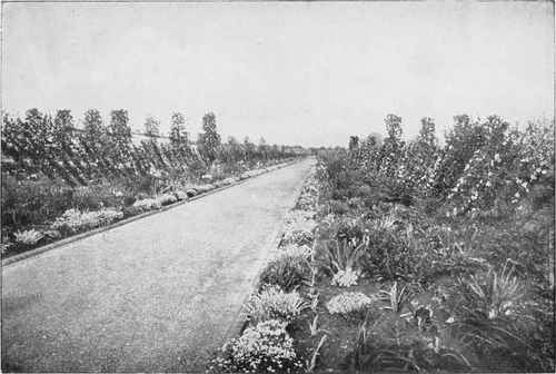 Fringed with borders of herbaceous plants.