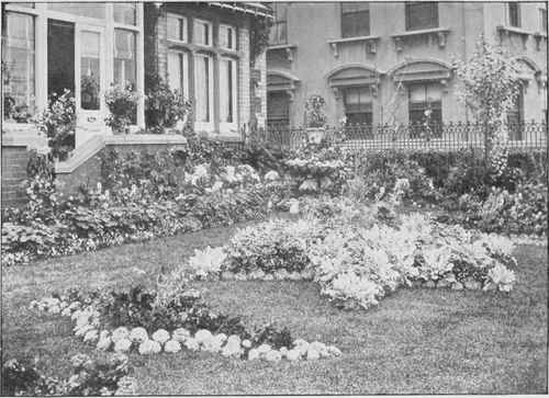 The garden shall come close to the walls of the house.