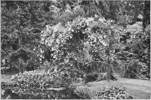 It shall be a garden of cool and secluded places.