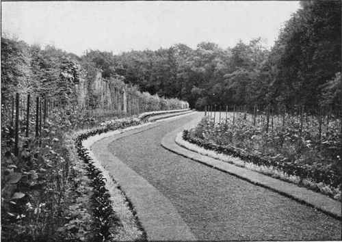 Gravel, grass and flowers. A walk in the grounds of the Rt. Hon. Sir Henry Campbell-Bannerman at Belmont Castle, Meigle, N.B.