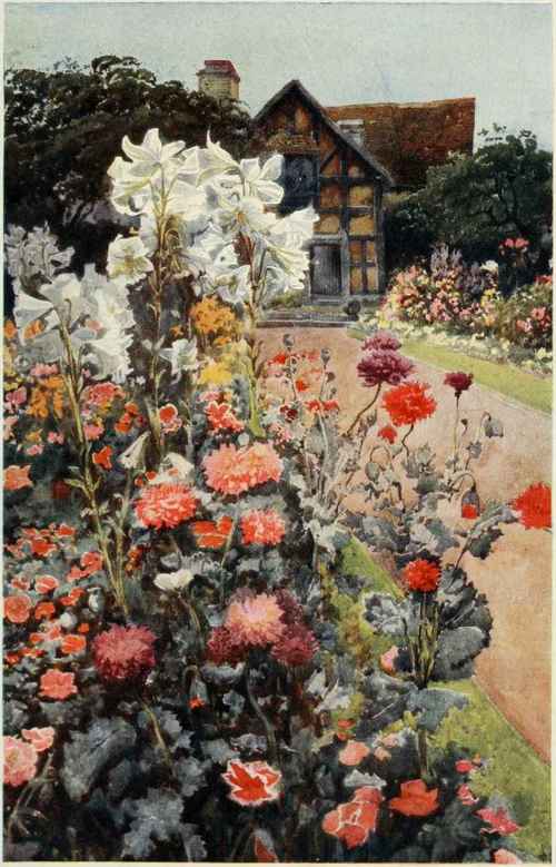 Shakespeare's Garden, Stratford-On-Avon.
