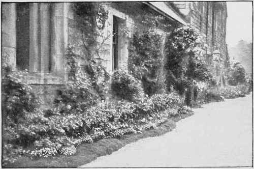 An undulating border under a wall.