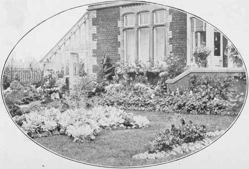 A Villa front relieved of its bareness with plants.