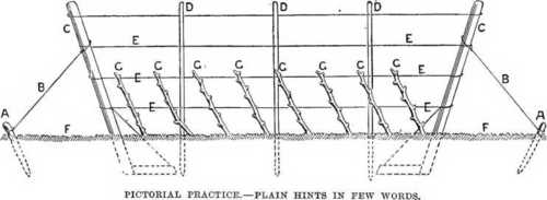 Fig. 1. Economising Space In Fruit Culture.