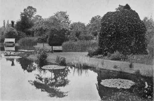 The Wrestler's Pond, Aldenham. Showing Ulmus montana major pendula on right and Quercus pendula over seat.