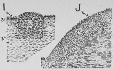 Fig. 15. - How To Prepare Soil For Planting Roses.-IV B