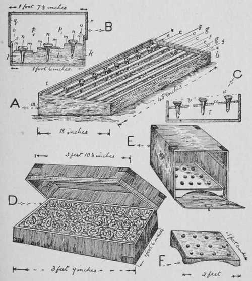 Fig. 40. How to Exhibit Roses. I. Stands And Boxes
