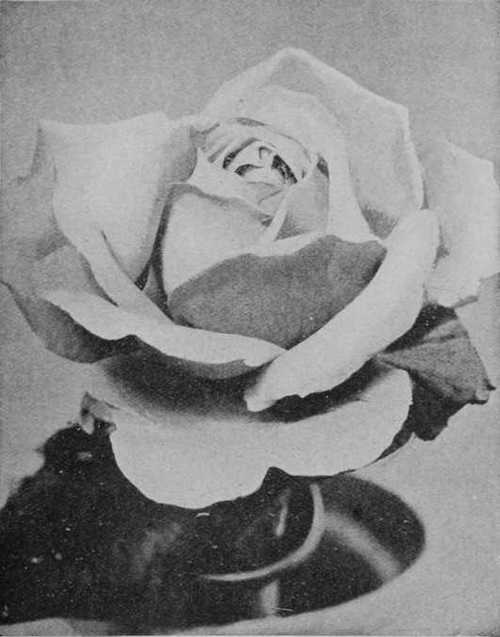 Fig. 52. Helen Keller