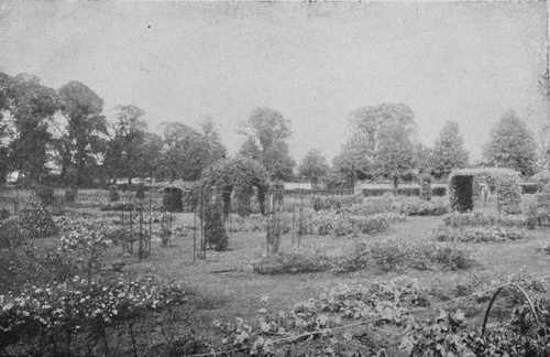 Fig 74. Rose Arbours, New Style