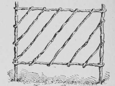 Fig. 77. A Home-Made Hurdle For A Rose Hedge