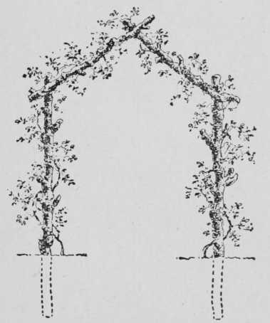 Fig. 79. End Elevation Of Pergola
