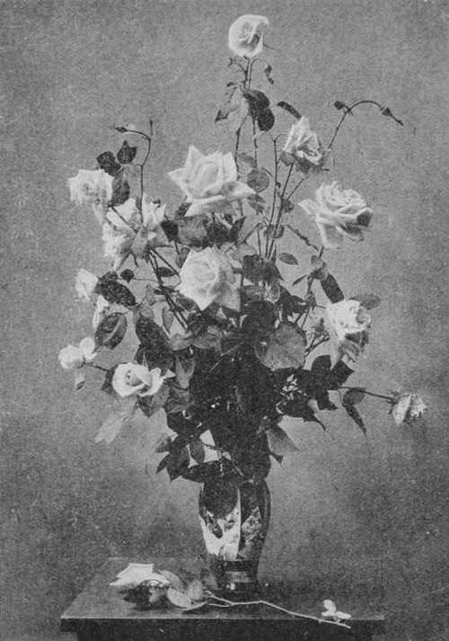 Fig. 83. Tea Roses In A Vase