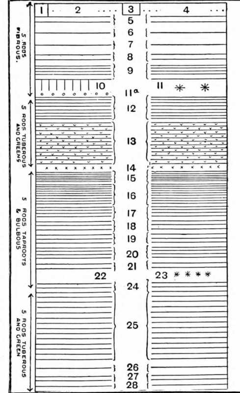 Fig. 1. Diagram For Vegetable Plot