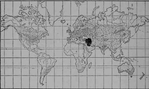 Fig. 16. Map of the world showing, by full black, the probable native home, and by dotted area, the present range in cultivation, of wheat.