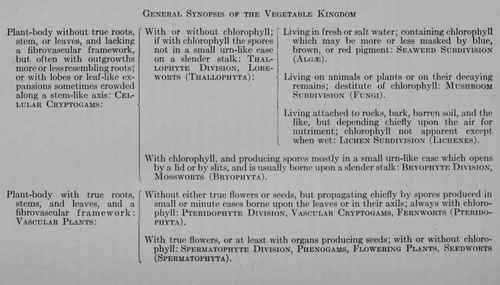General Synopsis of the Vegetable Kingdom