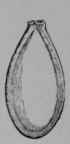 Fig. 80. VIII. Pumpkin, seed.